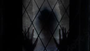 A man or ghostly figure peers into a window 