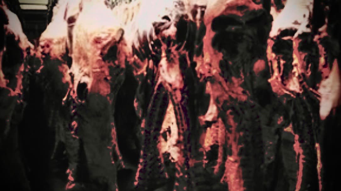 This is a picture of meat hanging from racks in a butcher’s shop.