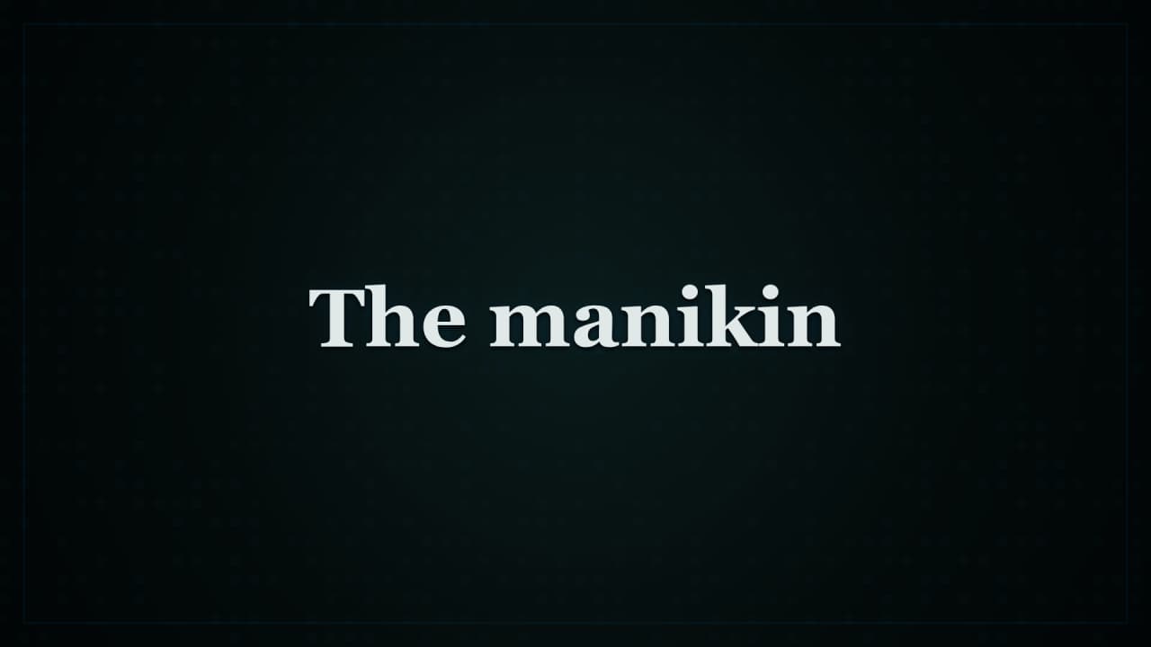 Cover image for story: The manikin