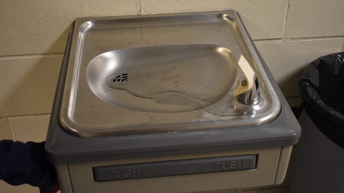 Cover image for story: The Weird School Water Fountain